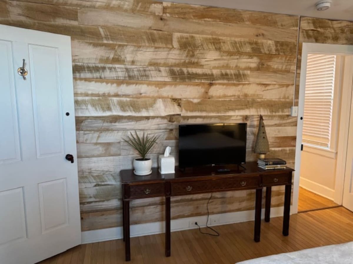 A room with a wooden wall, a white door, a dark wooden console table with a television, a small plant, and a lamp.