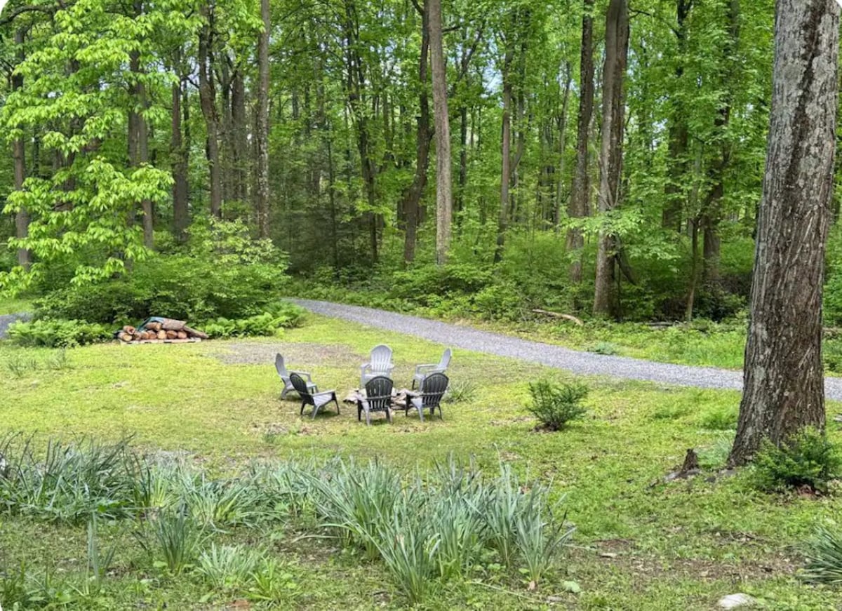 A forested area with a gravel path leading to a clearing where three Adirondack chairs are arranged around a small table.